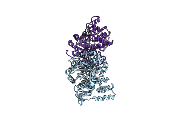 2NX9 image