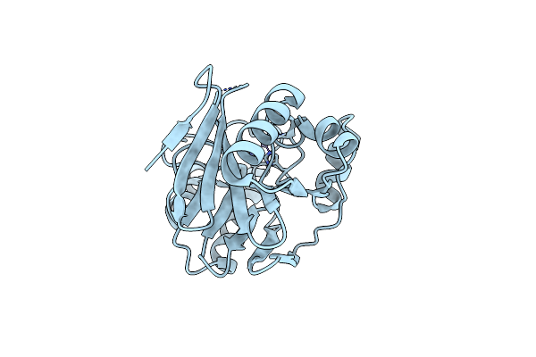 2NXA image