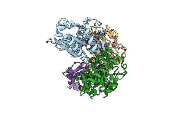 2NYB image