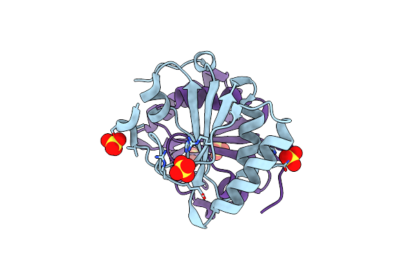 2NYH image