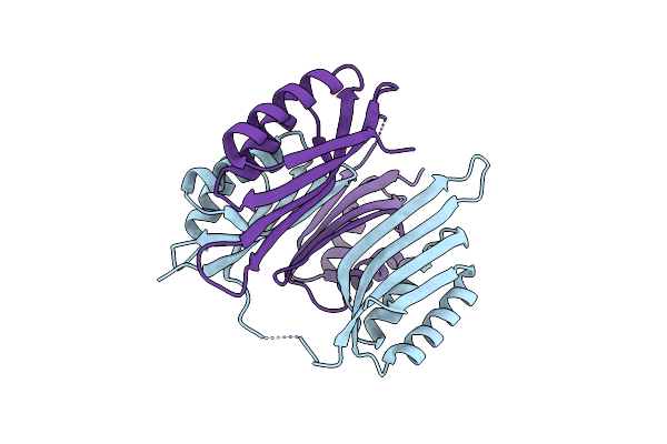 2NYI image