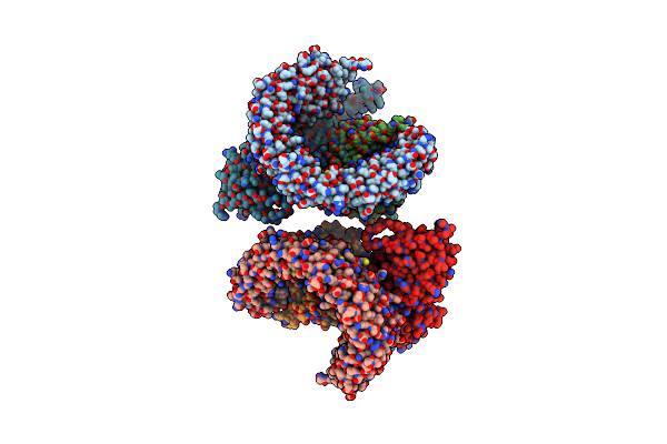 2NYL image