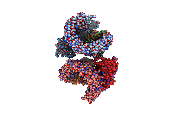 2NYM image