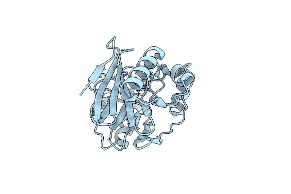 2NYP image