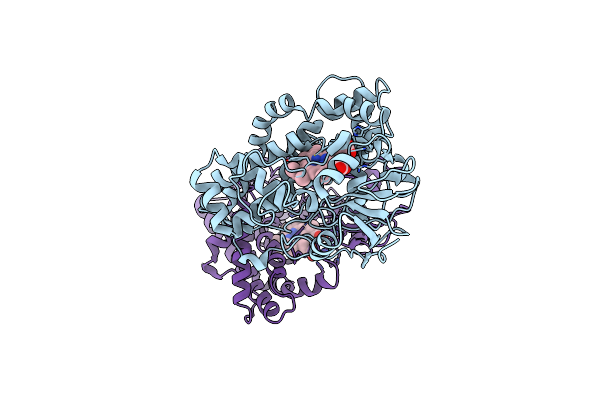 2NZA image