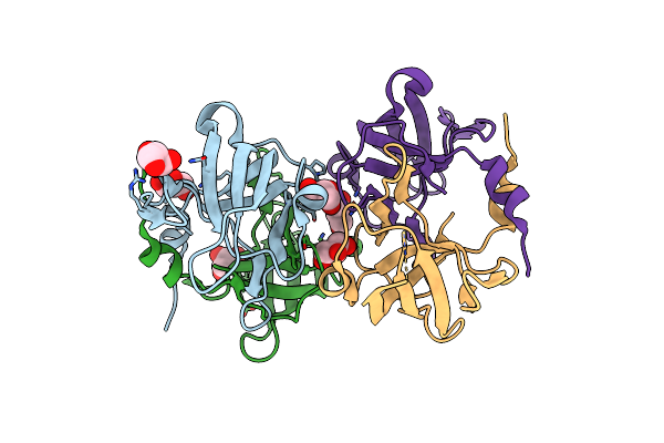 2NZO image