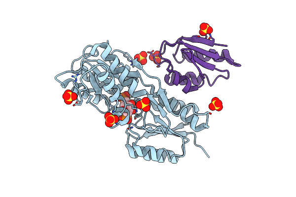 2NZV image