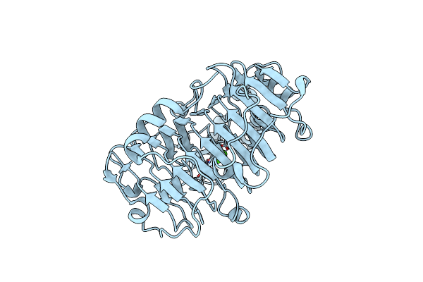 2O0W image