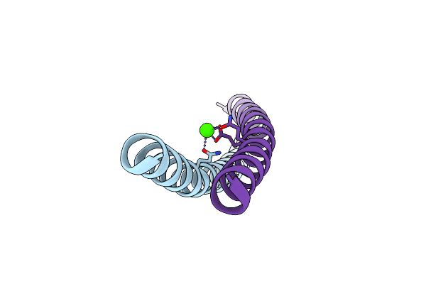 2O1K image