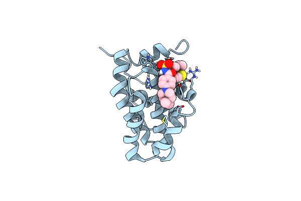 2O22 image