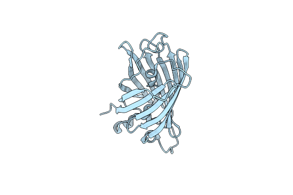 2O2B image