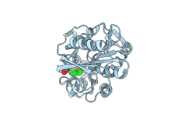 2O2H image