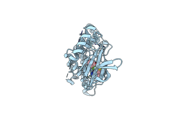 2O2U image