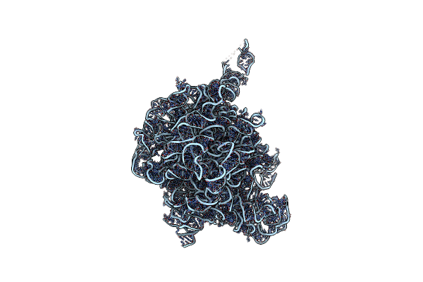 2O44 image