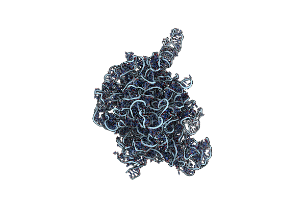 2O45 image