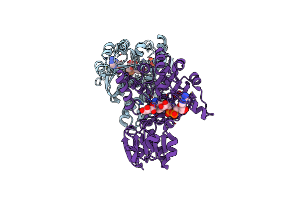 2O4C image