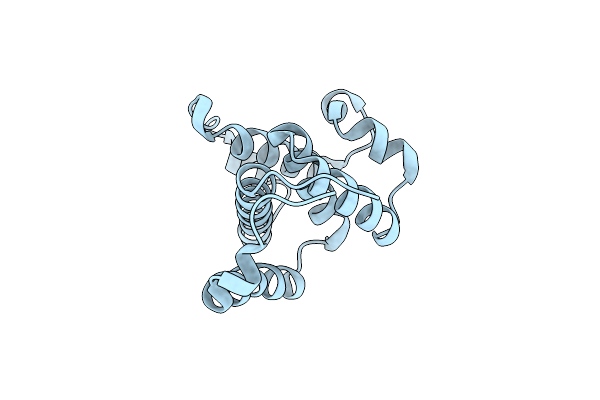 2O4D image