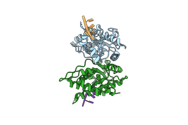 2O4I image