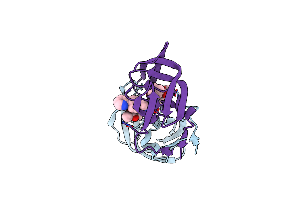 2O4K image