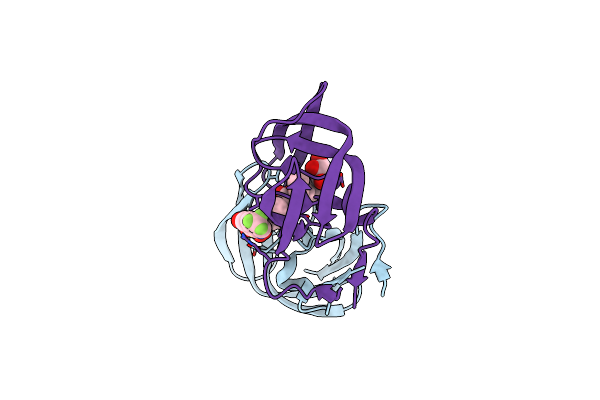 2O4L image