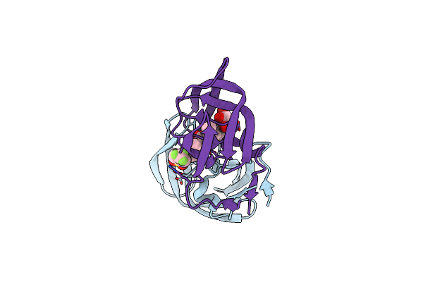 2O4N image