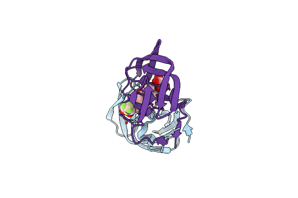 2O4P image