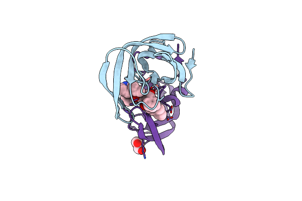2O4S image
