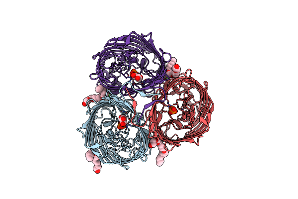 2O4V image