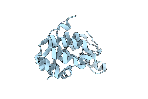 2O4W image