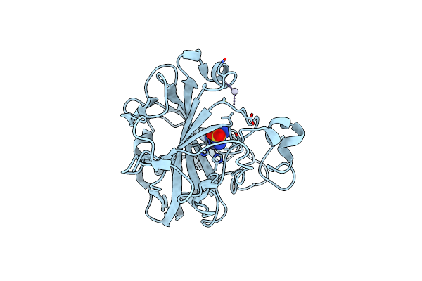 2O4Z image