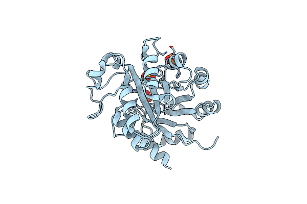 2O55 image
