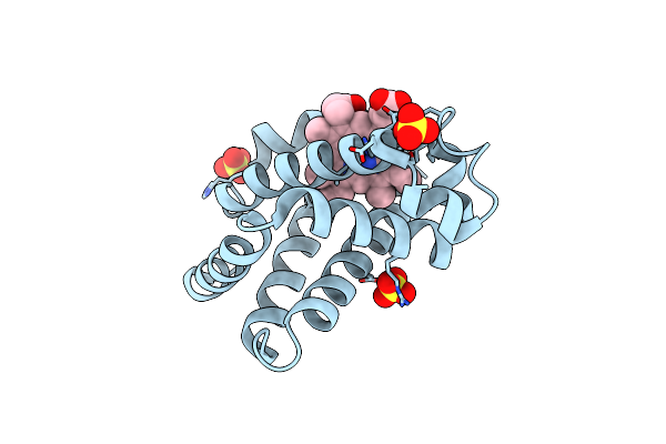 2O5B image