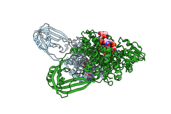 2O5C image