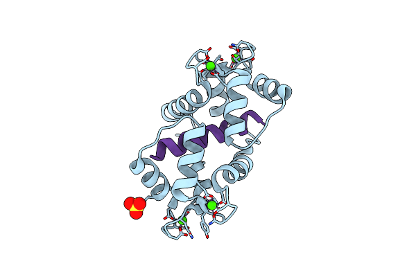 2O5G image