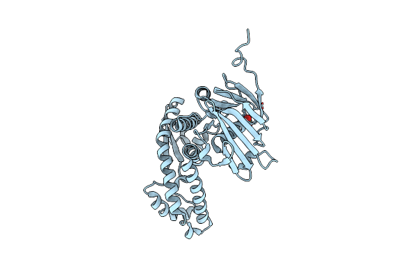 2O5V image