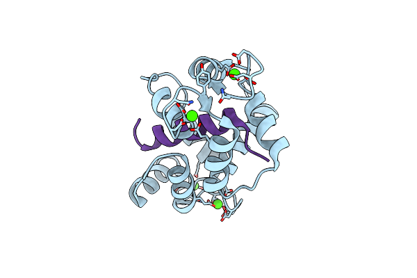2O60 image