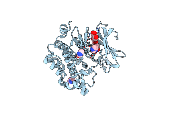 2O63 image