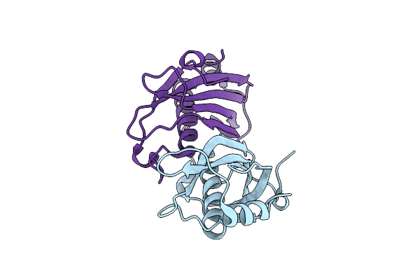 2O6B image
