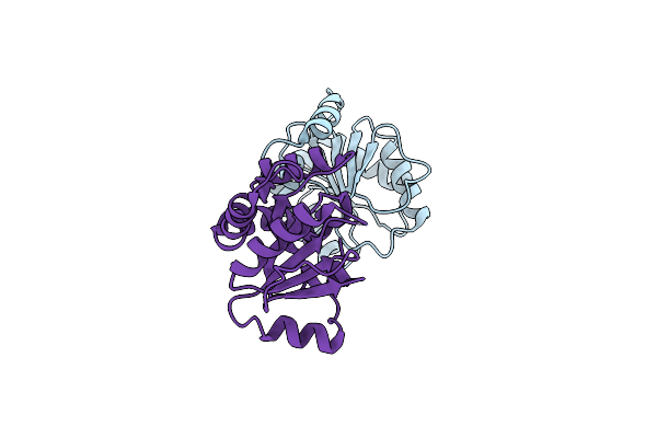 2O6L image