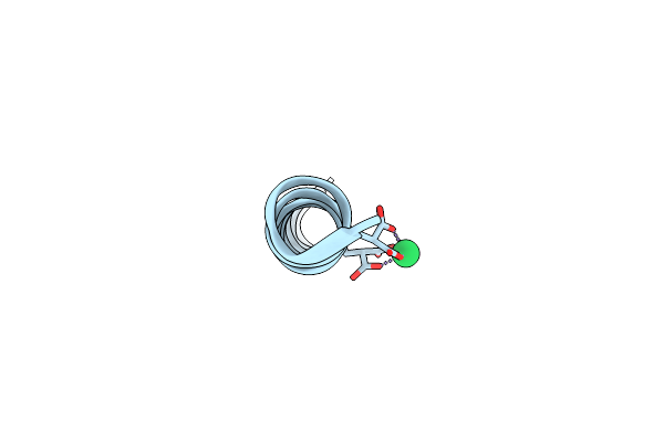 2O6N image