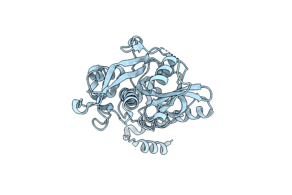2O6X image