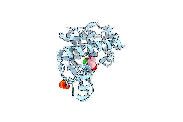 2O79 image