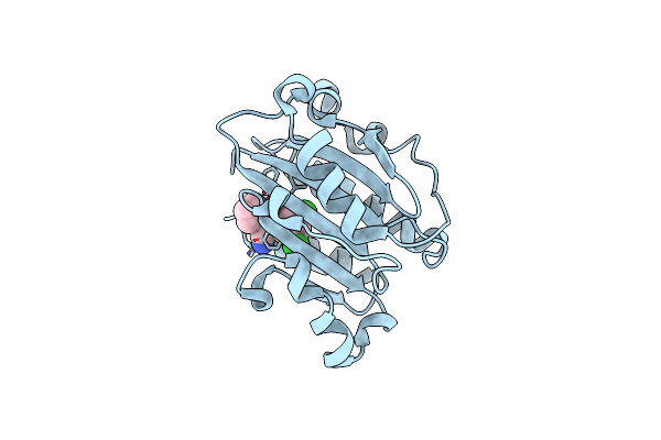 2O7N image