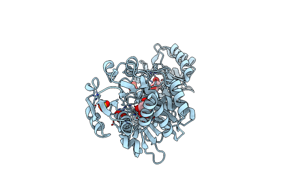 2O7Q image