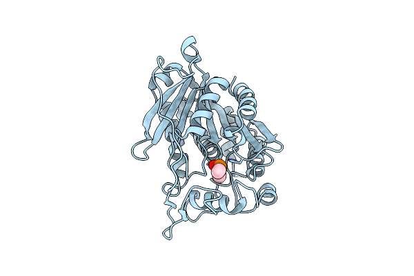 2O7V image
