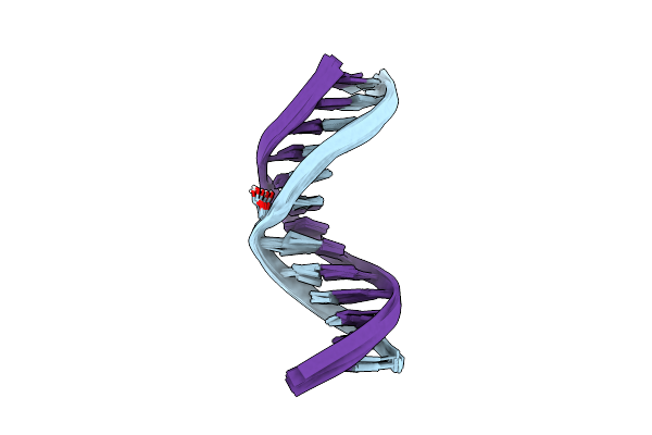 2O7X image