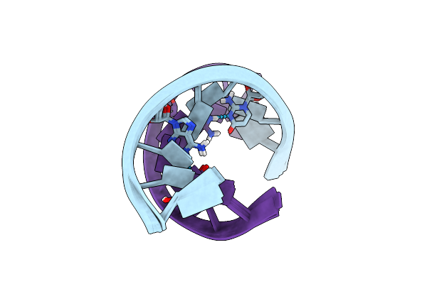2O83 image