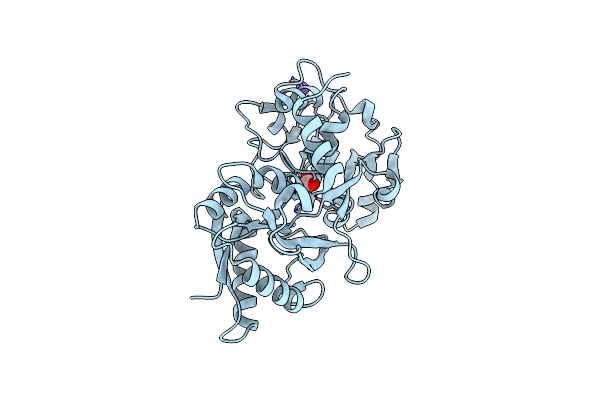 2O84 image