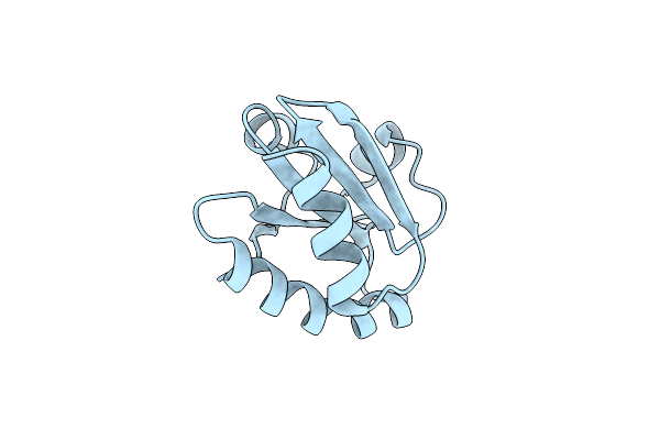 2O85 image