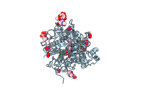 2O86 image